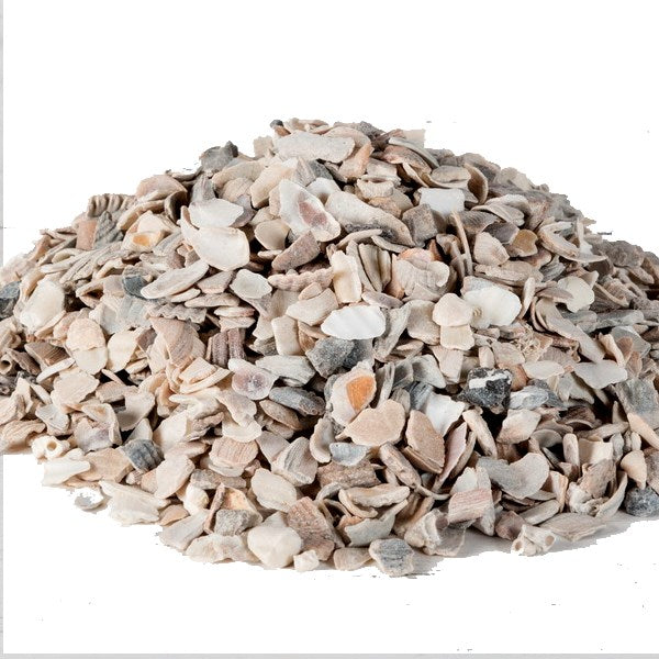 Oyster Shell 250g 500g 1kg Grit to Aid Bird Digestion Snail crab