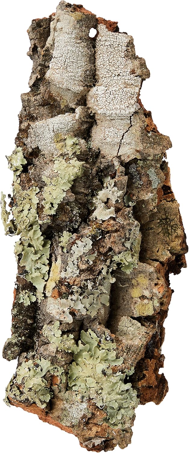 Natural Cork Bark Small pieces