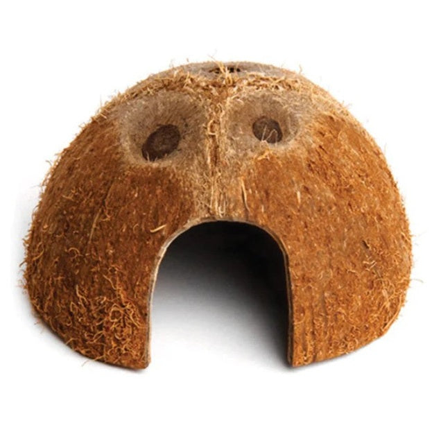 Komodo Habitat Coconut Den