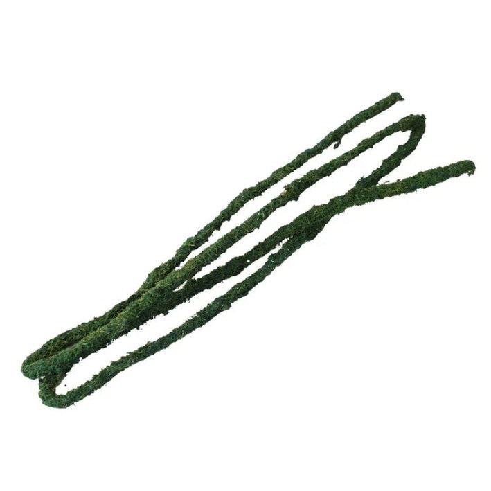 Komodo Tropical Vine Large Green