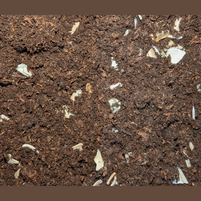 African Land Snail Substrate with Oyster Shell – Premium Natural Calcium-Enriched Mix  – 1-50 Litres