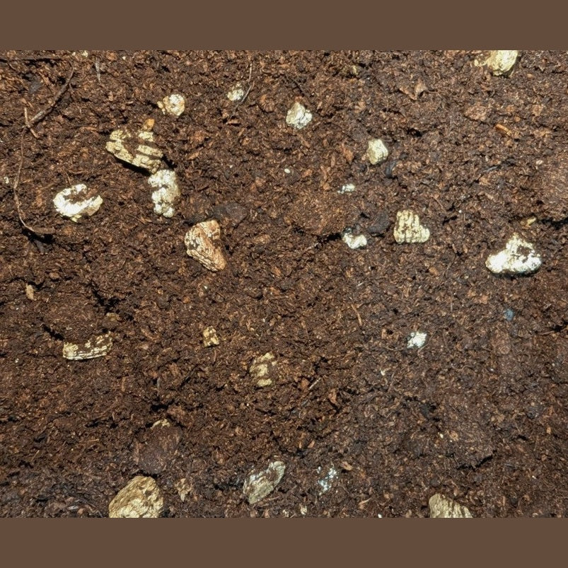 Premium Invertebrate Substrate – Natural Mix for Tarantulas, Millipedes, Isopods & More – 1-50 Litres